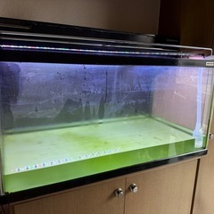 90CM 水槽 割れあり　愛知引取 90CM 水槽 割れあり 愛知引取 - メルカリ