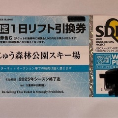 くじゅう森林公園スキー場　リフト券　引換券　の画像