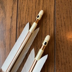 決まりました！矢6本セット（矢筒はおまけ）　の画像
