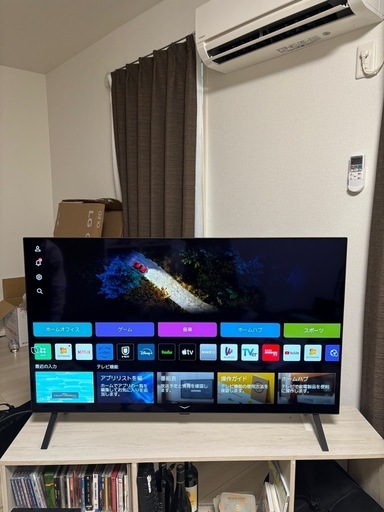 LG OLED テレビ 本体　48インチ
