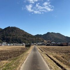 お悩み相談(仕事、転職、恋愛、婚活、引越し、その他)
