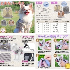 新品 未使用 犬用ハーネス&リード  グレー Sサイズ 他2点の画像