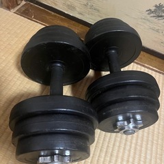 スポーツ フィットネス、トレーニング、ダンベル10kg×2の画像