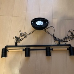コイズミ　ペンダントライト