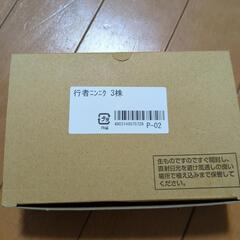 (決まりました)行者にんにく　3株