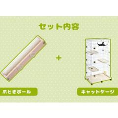 子猫　キャットタワーケージの画像