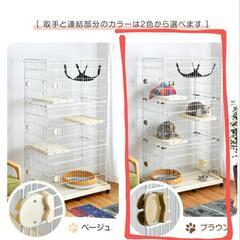 子猫　キャットタワーケージの画像