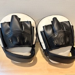 venum パンチングミットの画像