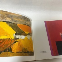 Bernard Cathelin / CATHELIN PEINTURES 1972-1982 希少　コレクションの画像