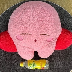ぬいぐるみの画像
