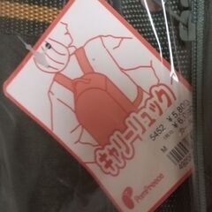 ペット用バッグリュックタイプ　新品未使用の画像