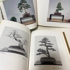 国風盆栽展　記念帖 第45.46回 2冊セットの画像