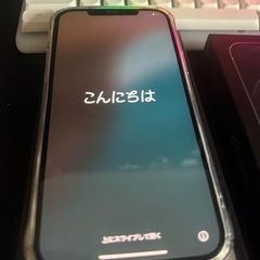 iPhone12ProMax 256G