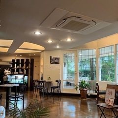 1/29(水)【完全予約制】🌸京都カフェ占い🌸 − 京都府