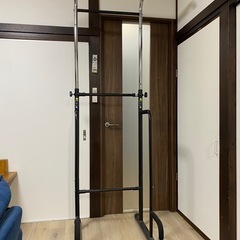 懸垂マシン - ALINCO EX900T