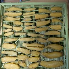 紅はるか　200円/Kg