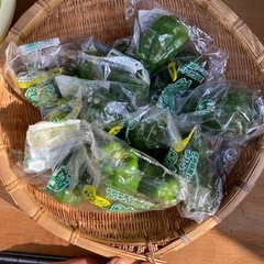 激安野菜