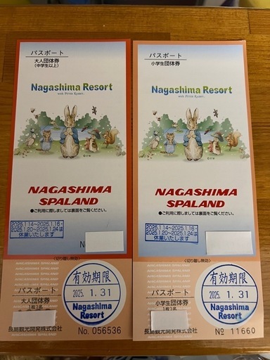 ナガシマスパーランドチケット