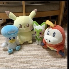 ポケモンぬいぐるみ　今月まで