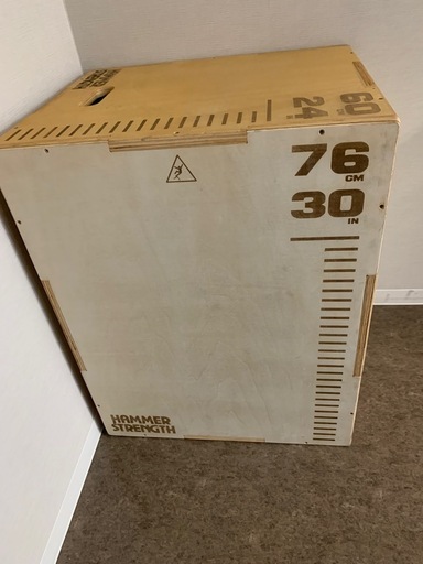 フィットネス、トレーニング Hammer Strength Plyo Box