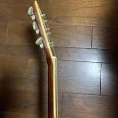 アコースティックギター　Blue Ridge　の画像