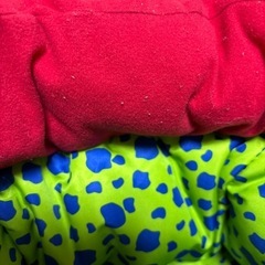 乳児乗り物　ケーズキッズジャンボゴーゴー
の画像