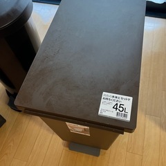 ゴミ箱45Lスリムペダルペール