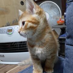 可愛がってくれる方
