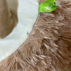 ハリネズミ　ぬいぐるみの画像
