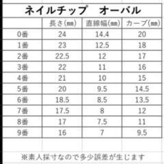 ネイルチップ　赤の画像