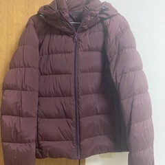 UNIQLO ユニクロ　ダウン　M エンジの画像