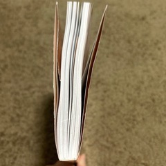 ニャアアアン！ 鴻池剛の画像