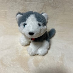 ぬいぐるみ③