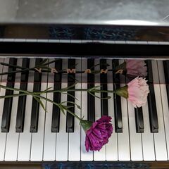 【障がいをお持ちの方歓迎いたします】どれみピアノ教室生徒募集中！の画像