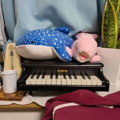 【障がいをお持ちの方歓迎いたします】どれみピアノ教室生徒募集中！の画像