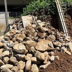 石無料 庭石 大量 庭園用 石畳 ガーデニング 花壇 造園 引取りのみの画像
