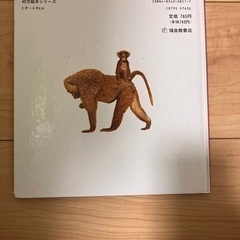 どうぶつのおかあさんの画像