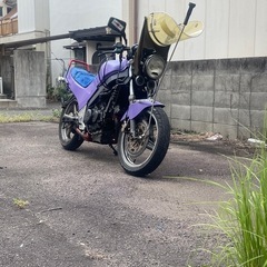 VTZ250