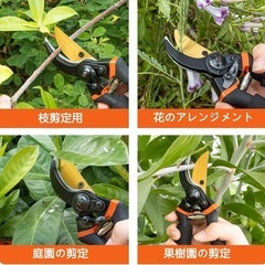 【新品】剪定バサミ 人気庭師おすすめ‼︎ 園芸用はさみ フッ素コーティングの画像