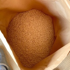 茨城県産コシヒカリ 30kg（5kg×6袋） 【精白米】 令和6年産 米