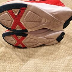 カープコラボシューズの画像