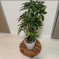 フェイクグリーン　台車付き