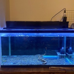 90cm水槽と設備一式の画像