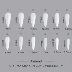 サイズ計測用チップの画像