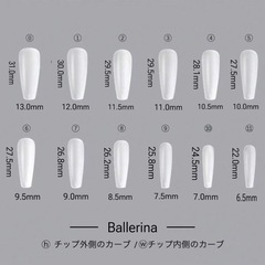 サイズ計測用チップの画像