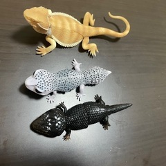 爬虫類 ガチャガチャ フィギュア
の画像