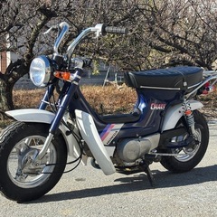 ホンダ　シャリー　カスタム　ローダウン　全国発送可能　　の画像