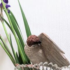 🏠自作『毛繕いスズメ②』の画像