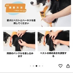 ハーネス一体型リード新品3000円→2000円の画像