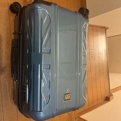 キャリーバッグ